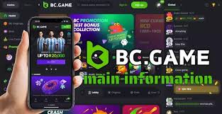 Comprehensive Guide to BC.Game Mirror Navigate Your Gaming Experience