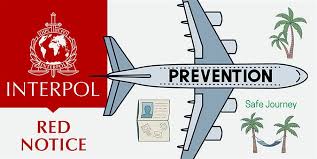 Understanding Interpol Red Notice Removal A Comprehensive Guide 1343494785